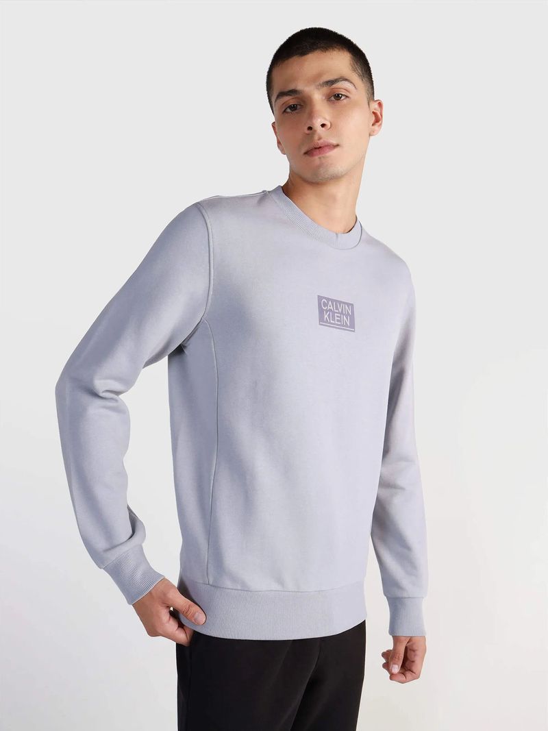 Modelo-con-poleron-gris-claro-Calvin-Klein-y-logo-en-el-pecho