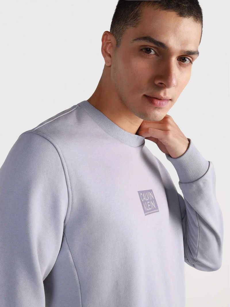 Modelo-con-poleron-gris-claro-Calvin-Klein-y-logo-en-el-pecho