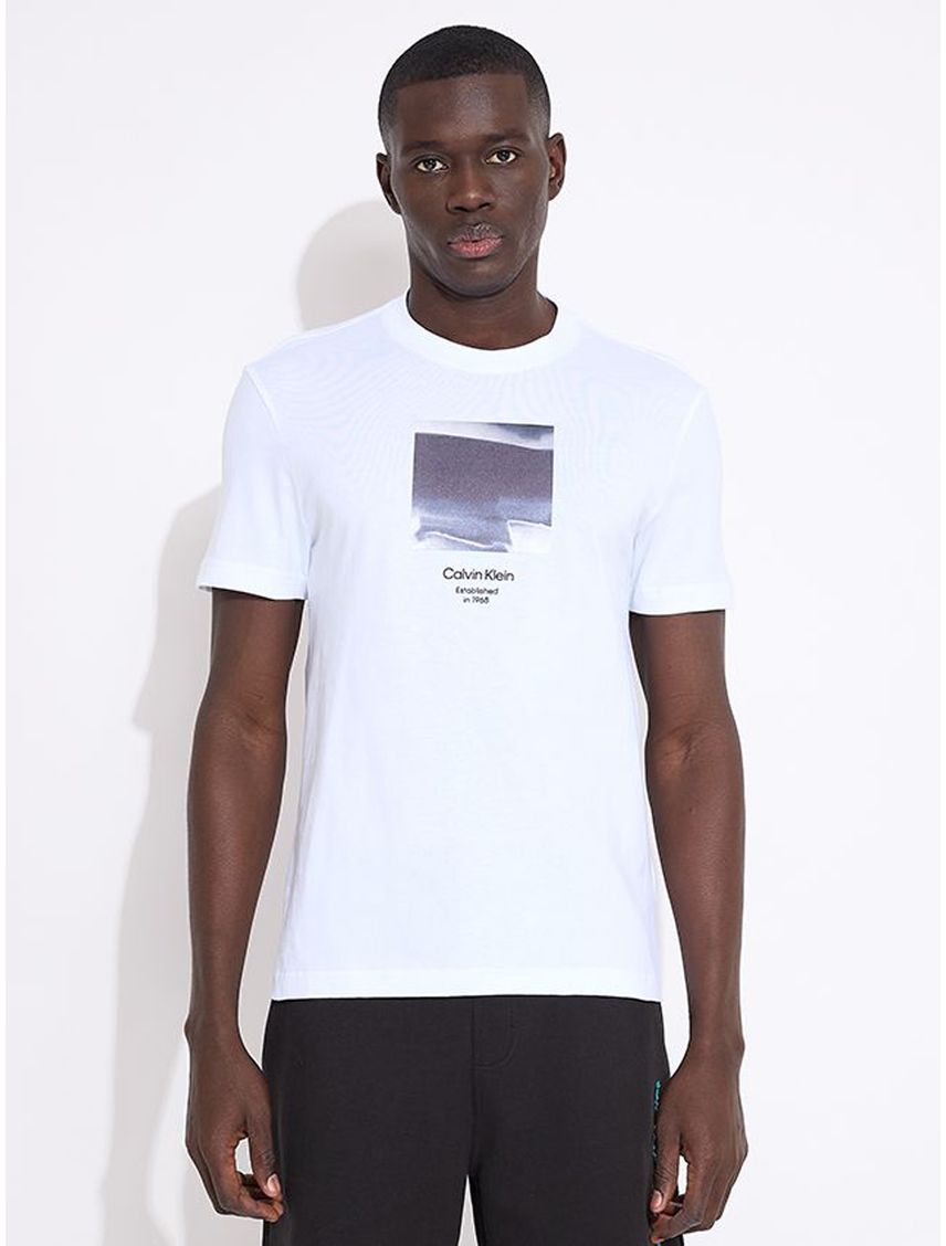 Polera Diffused Graphic