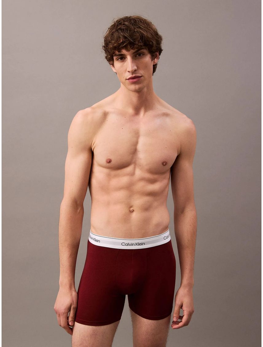 Pack 5 Bóxers Brief Modern Cotton Holiday