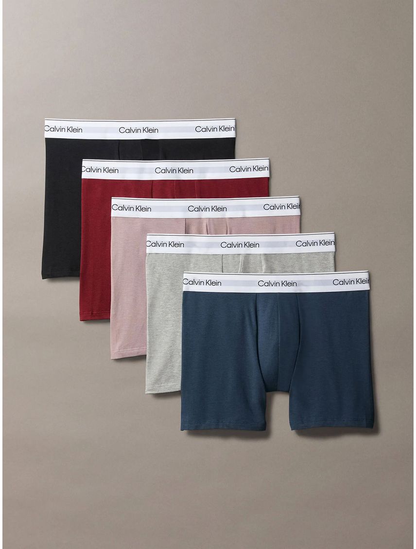 Pack 5 Bóxers Brief Modern Cotton Holiday