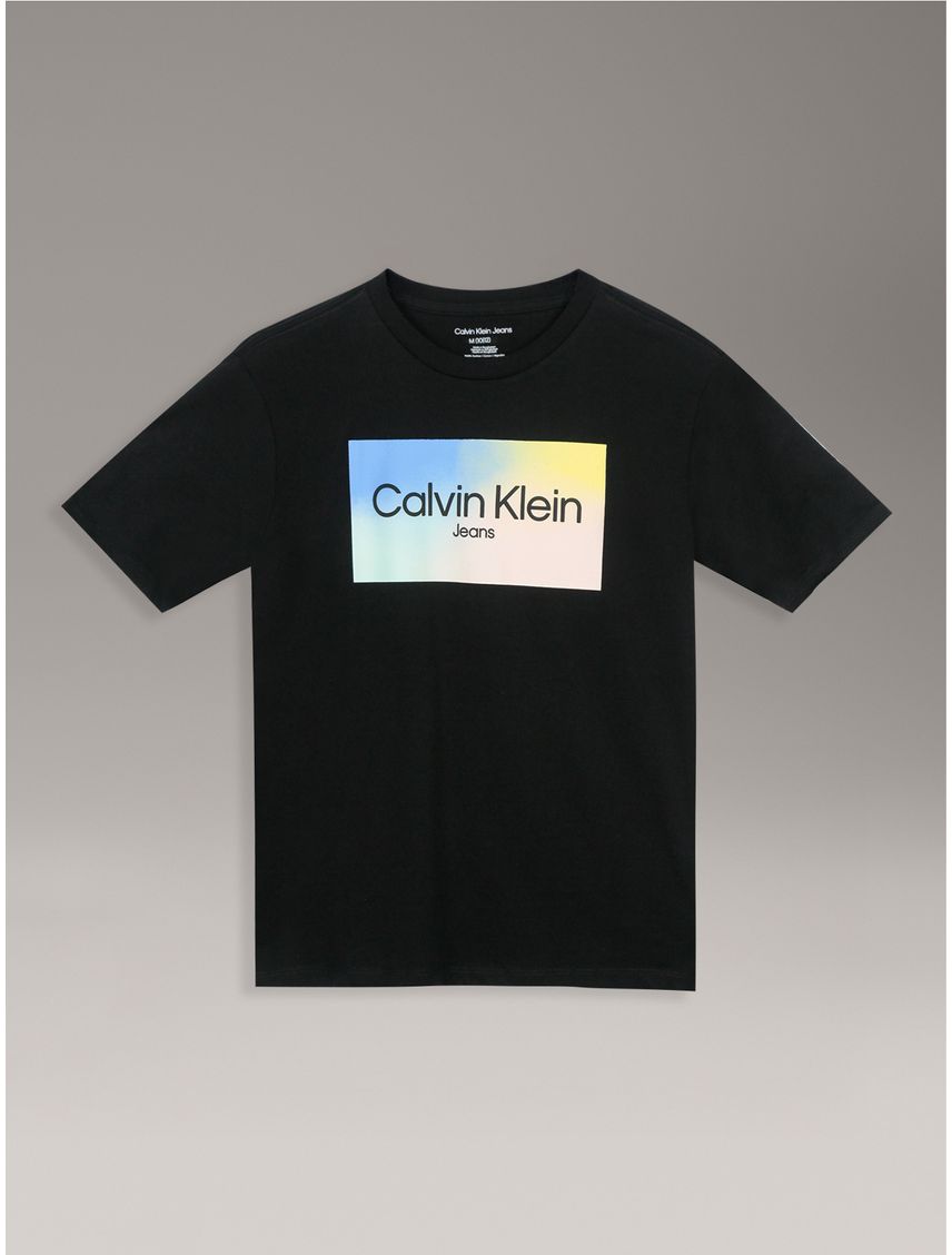 Polera Niño Gradient Box Para Niño